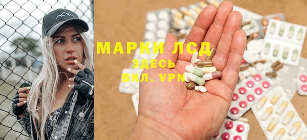 шишки Алзамай