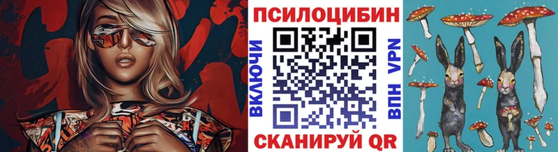 цена   Димитровград  Галлюциногенные грибы прущие грибы 